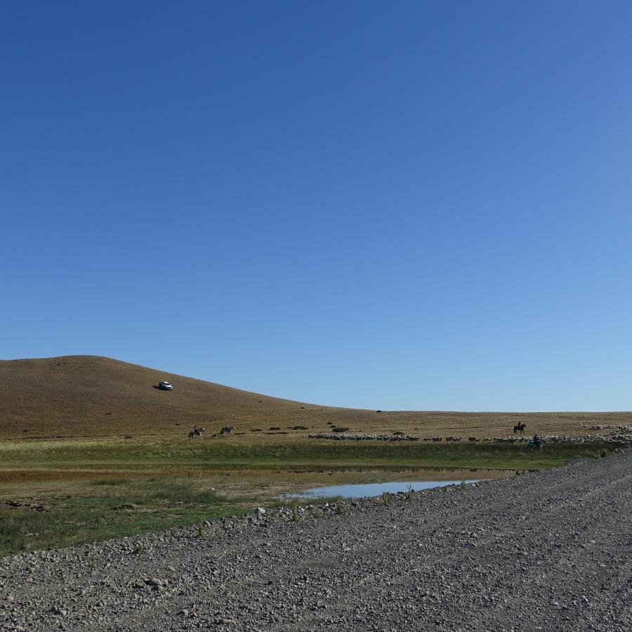 Dsc09650