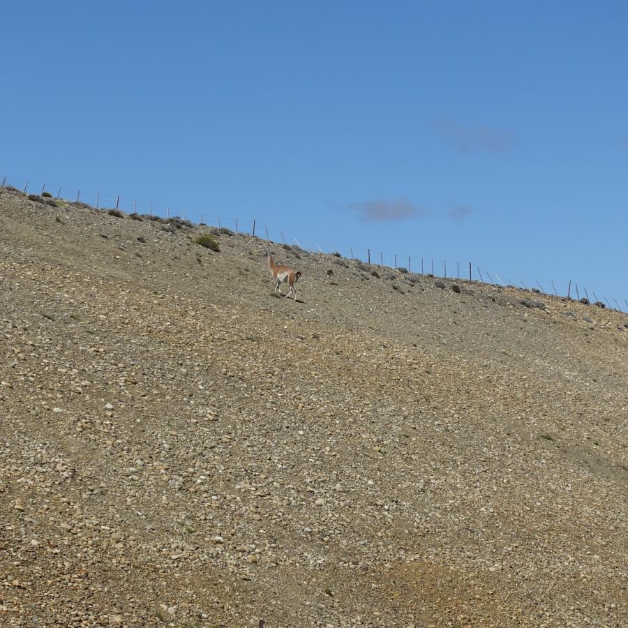 Dsc09666