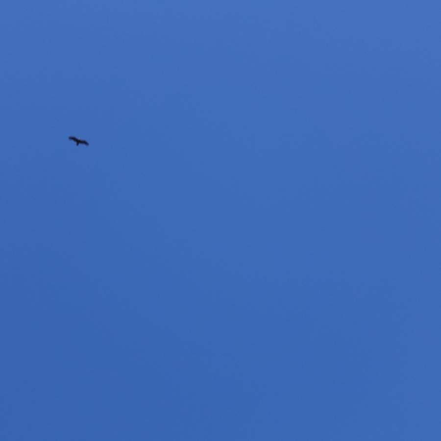 Dsc09674