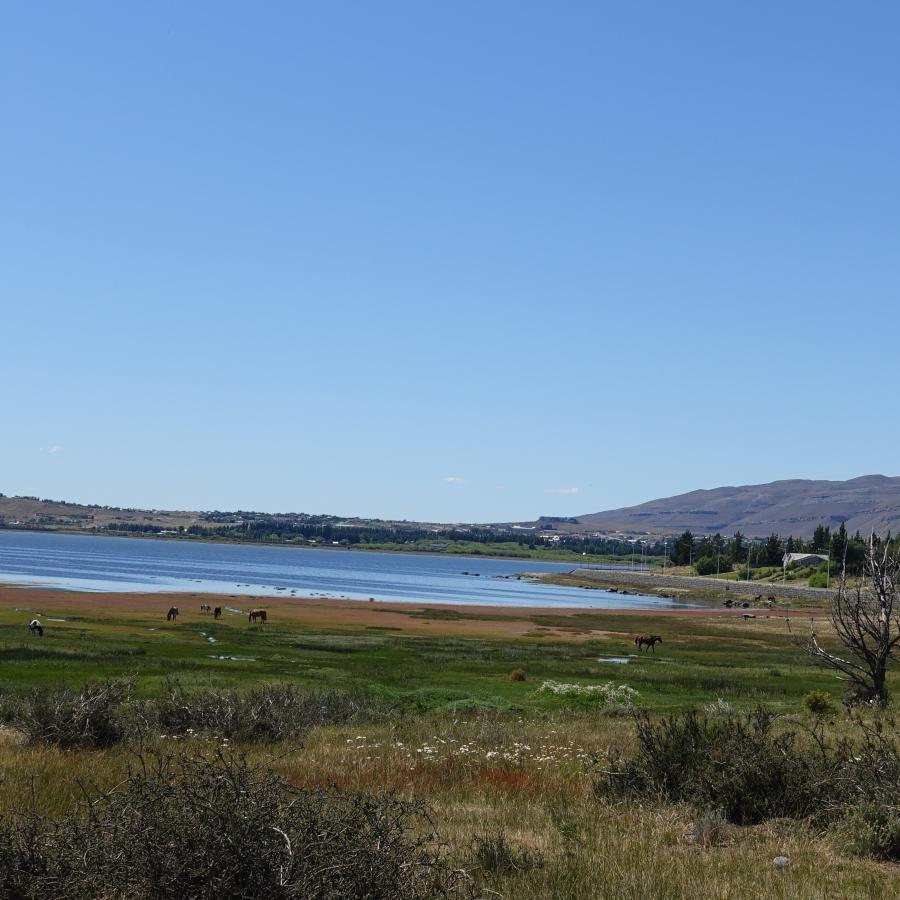 Dsc09675