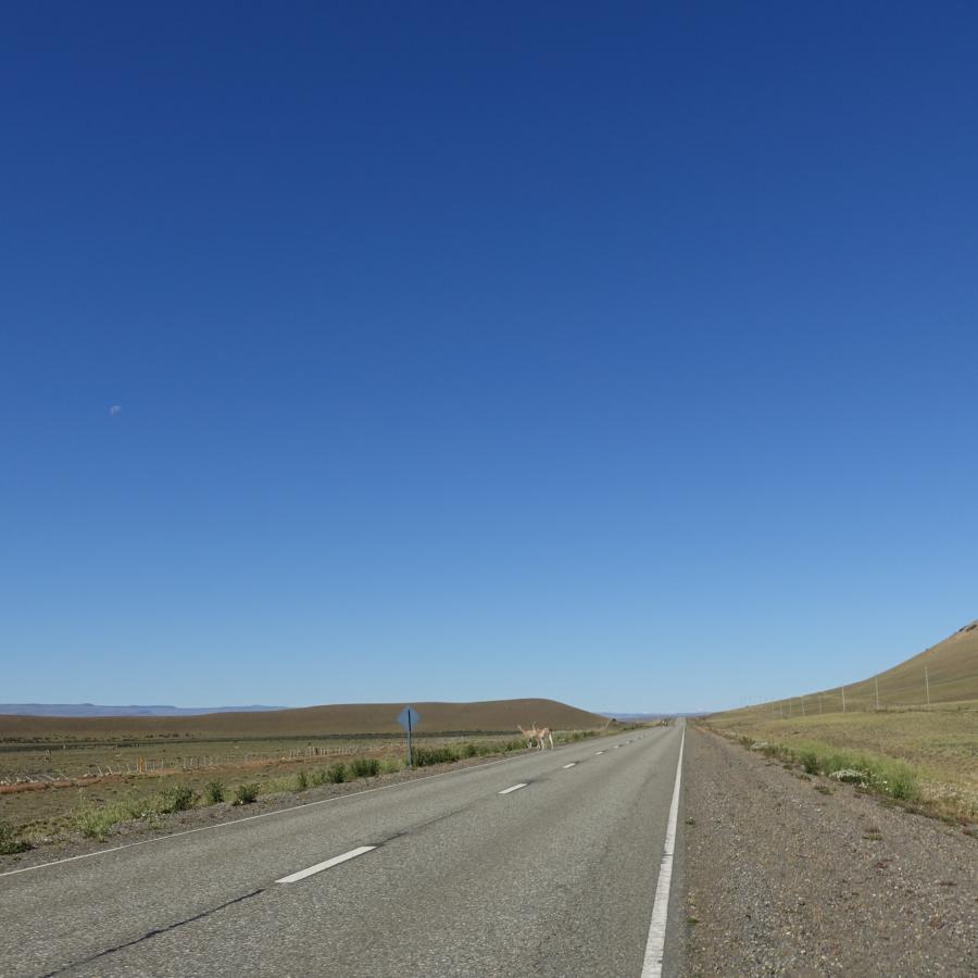 Dsc09700