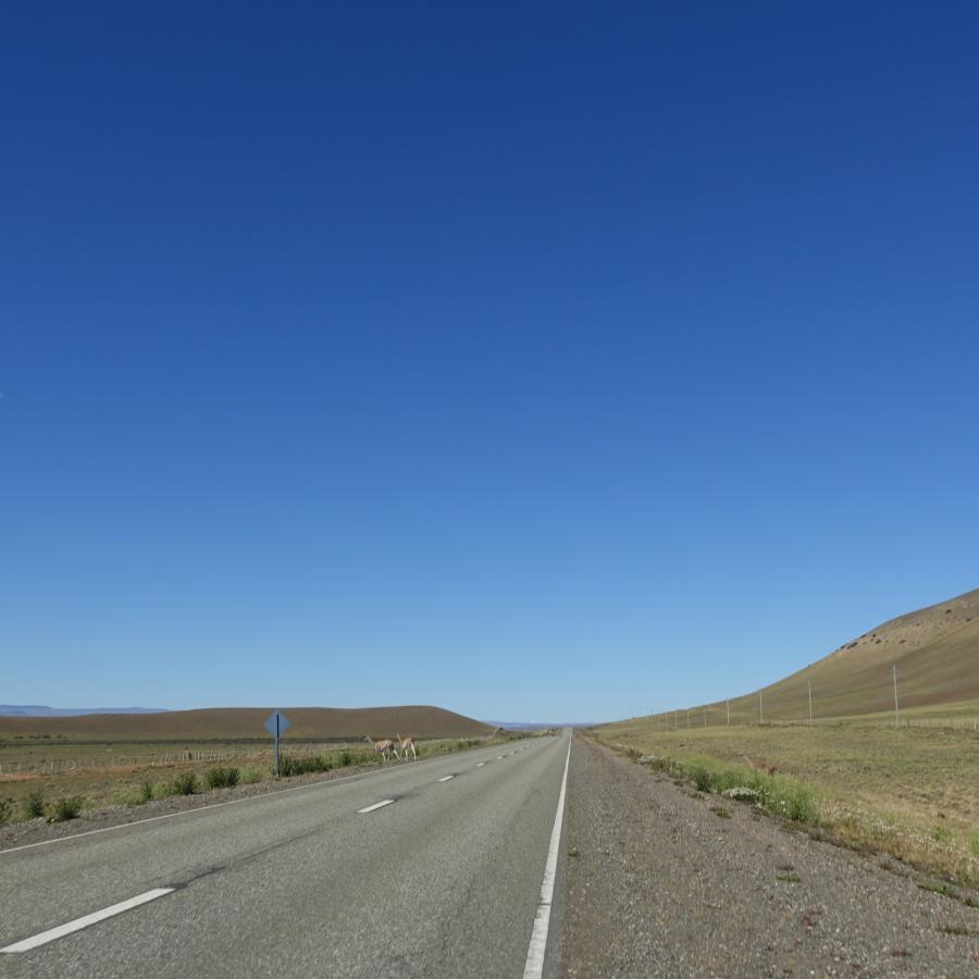 Dsc09701