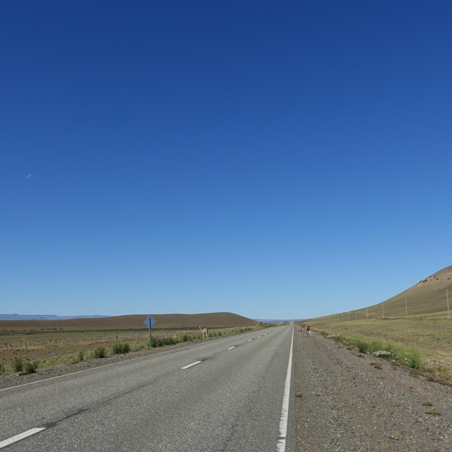 Dsc09702