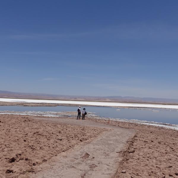 Dsc09560