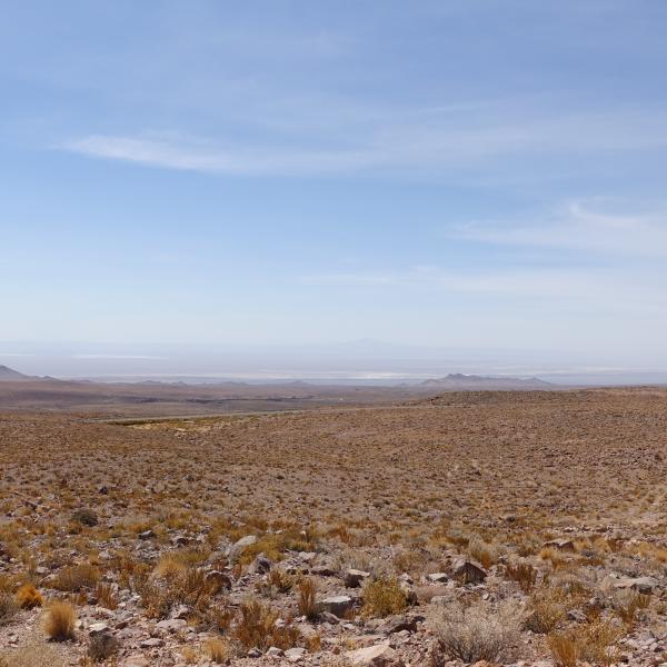 Dsc09588