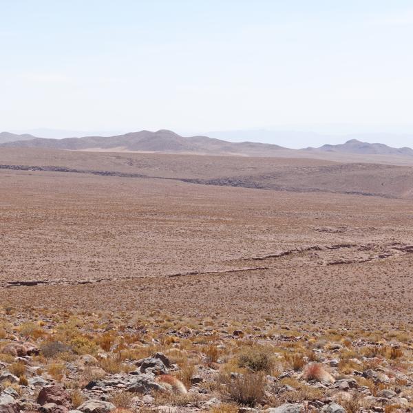 Dsc09603
